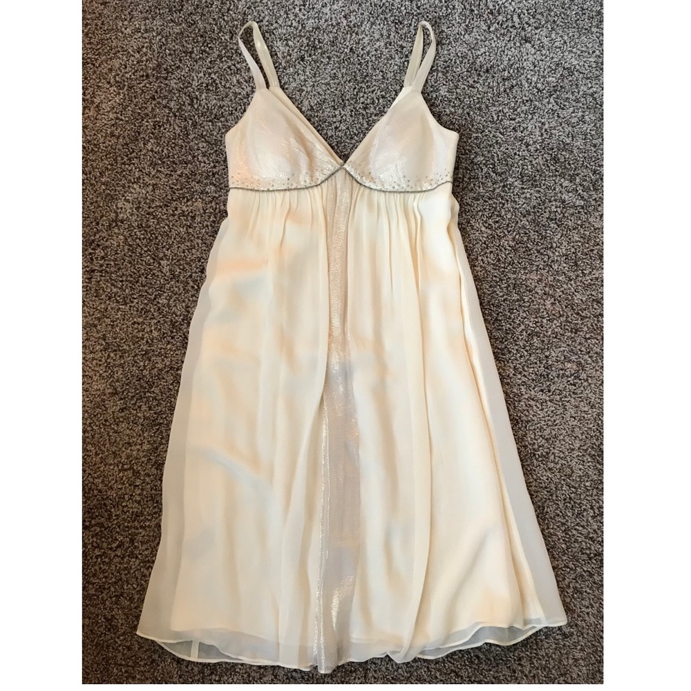 Max & Cleo Sparkle Dress BCBG
